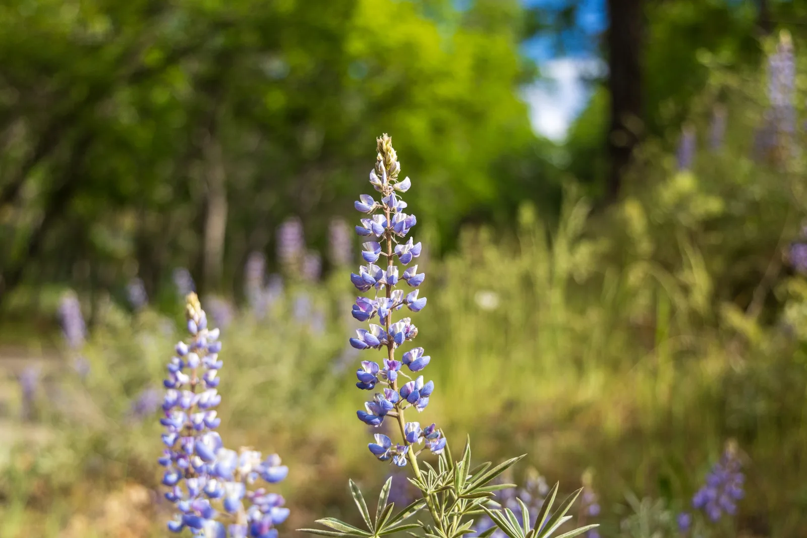 Outdoor photography