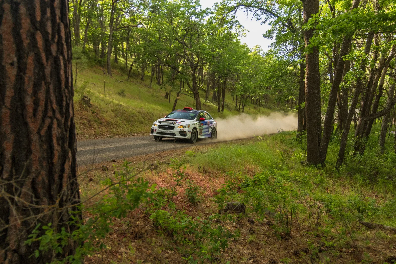 Motorsport photography