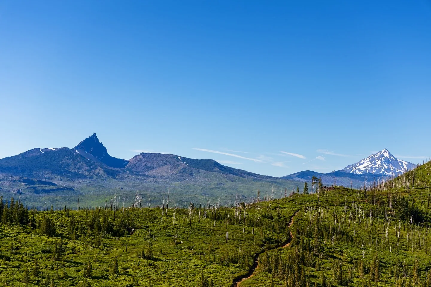 Outdoor and nature photography