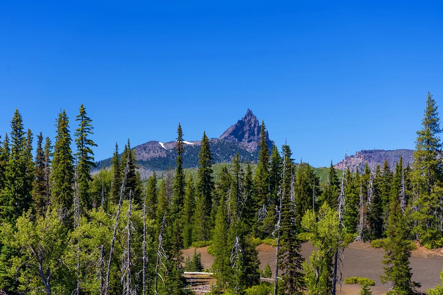Outdoor and nature photography
