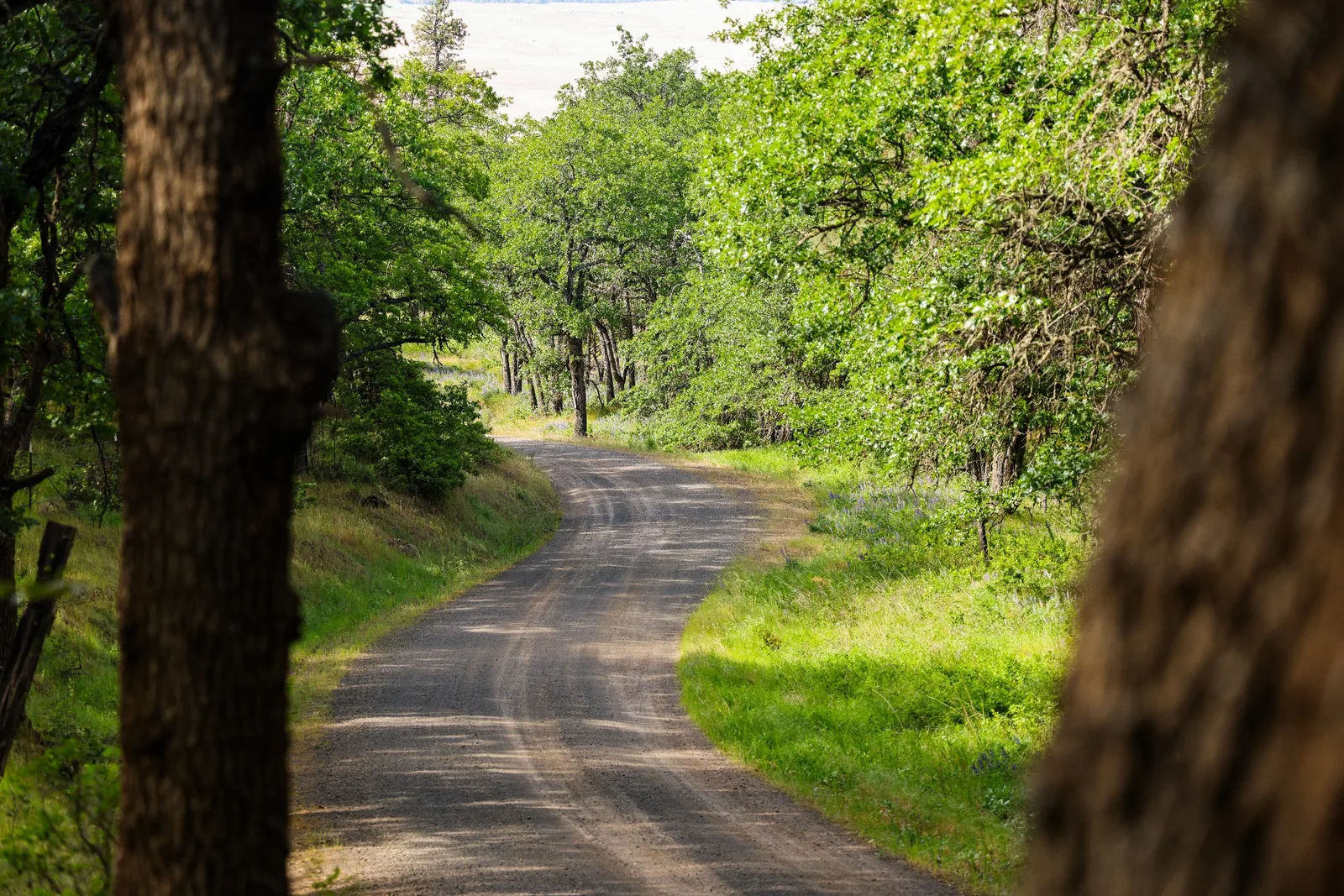 Outdoor photography