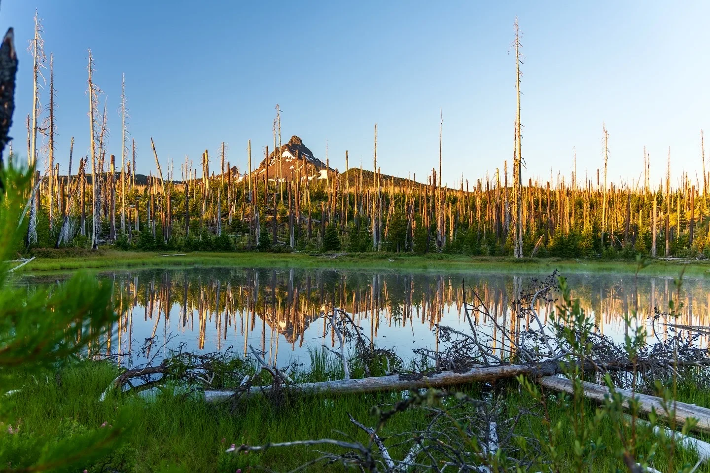 Outdoor and nature photography