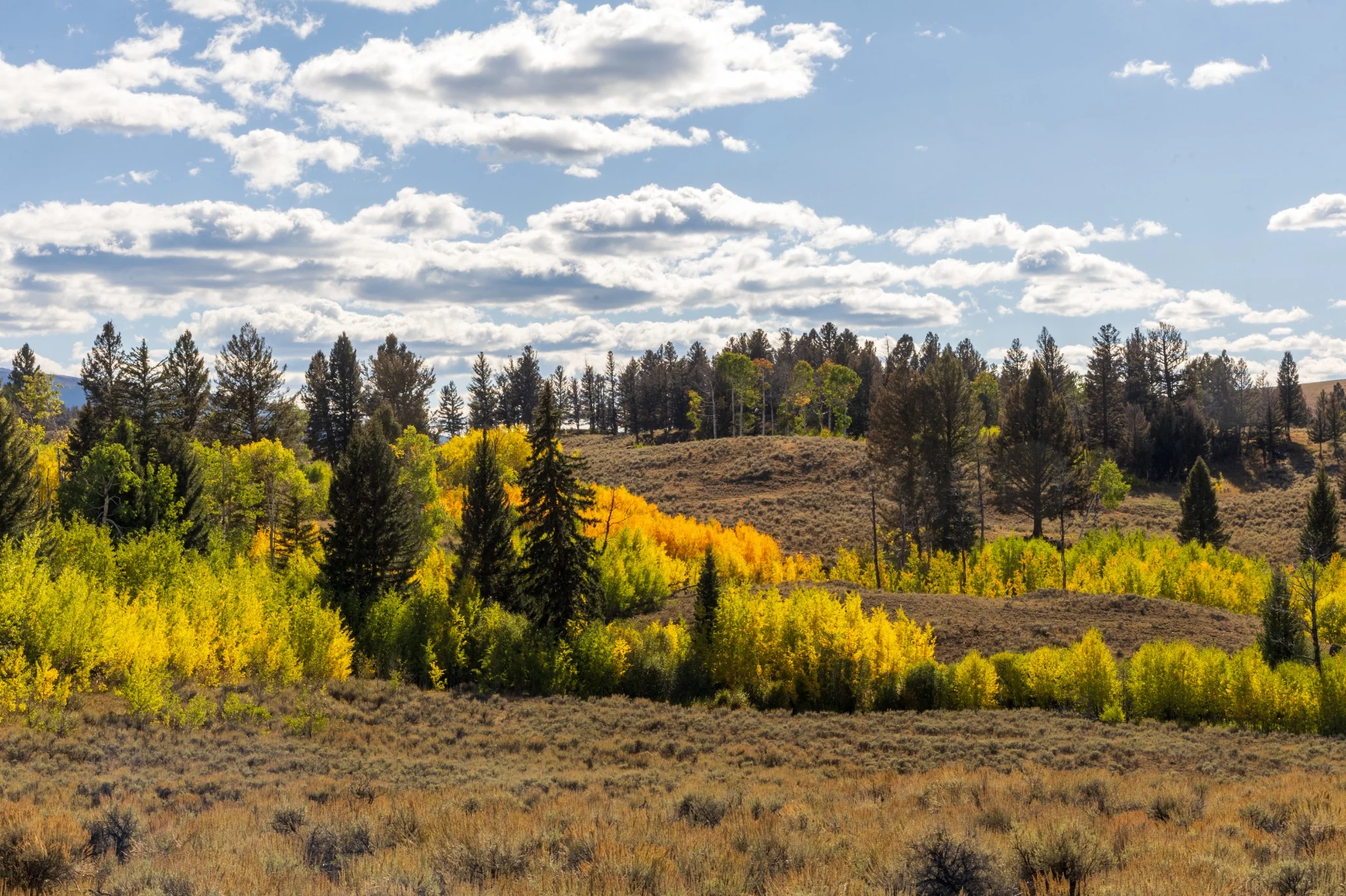 Photography by Dialed Photography